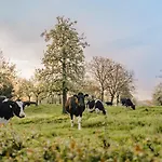 Buitengewoon Libeek Holiday home *