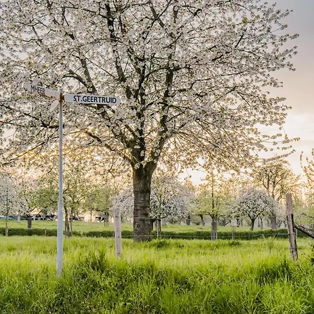 Buitengewoon Libeek *