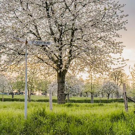 Buitengewoon Libeek *