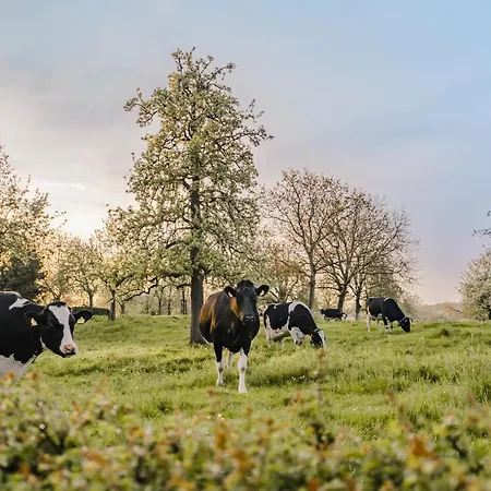 Buitengewoon Libeek Сasa de vacaciones *