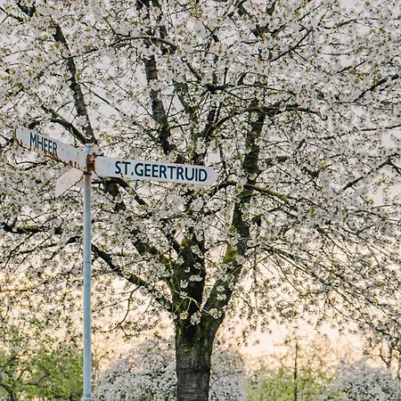 Buitengewoon Libeek Сasa de vacaciones Sint Geertruid