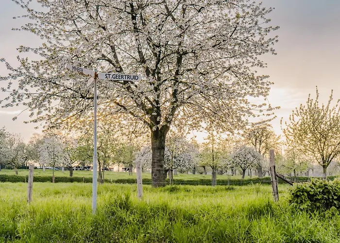 Buitengewoon Libeek *