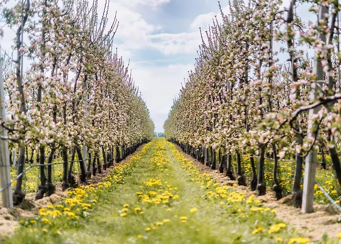 Buitengewoon Libeek Сasa de vacaciones *