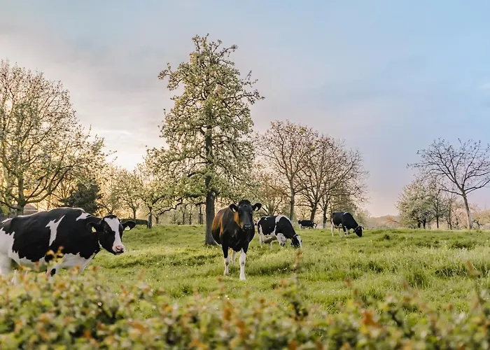 Buitengewoon Libeek Сasa de vacaciones *