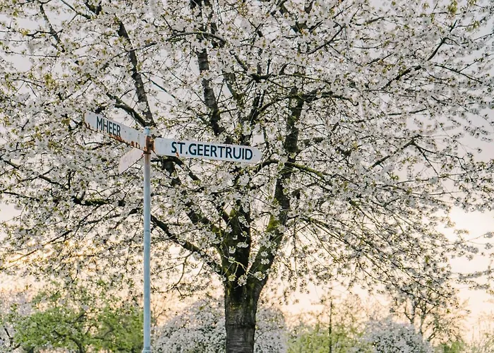 Buitengewoon Libeek Сasa de vacaciones Sint Geertruid