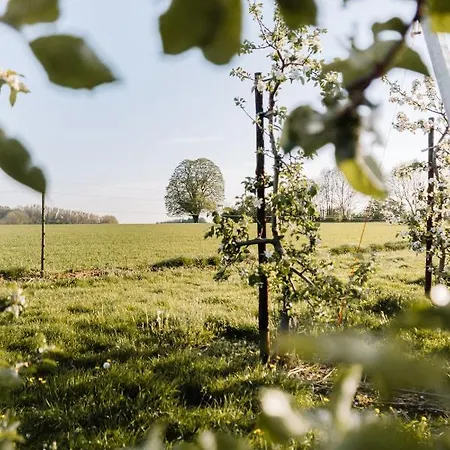 Buitengewoon Libeek